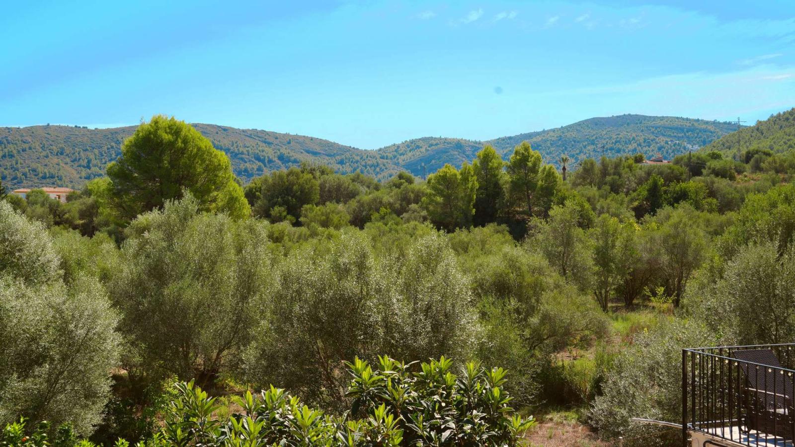 Villa for Sale in Orba