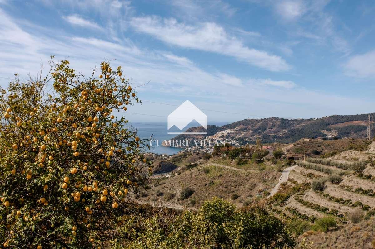House for Sale in Almuñécar