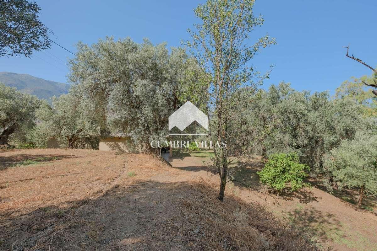 House for Sale in Órgiva
