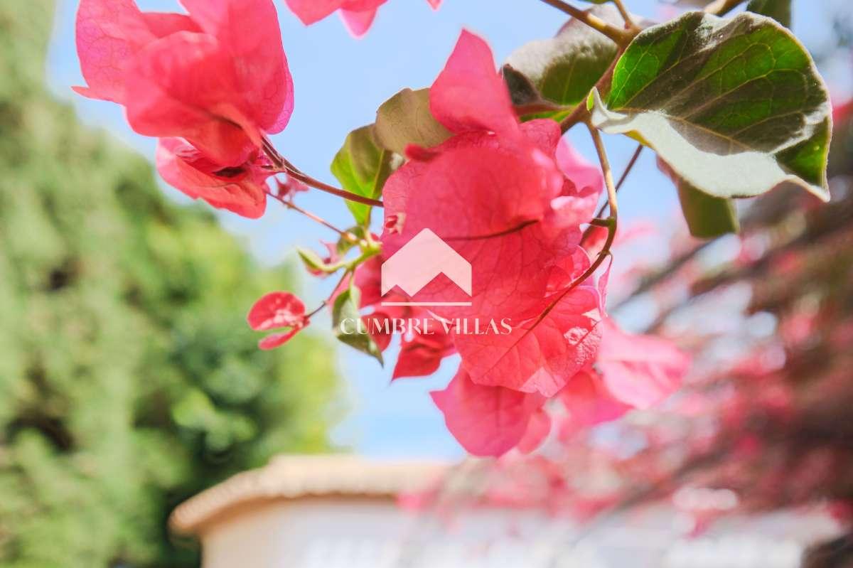 Villa for Sale in Salobreña