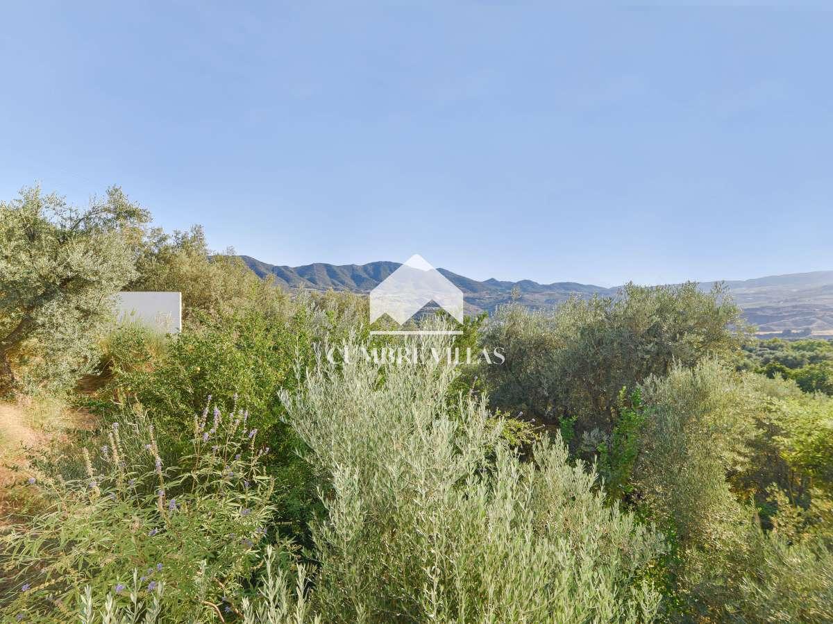 Villa for Sale in El Valle