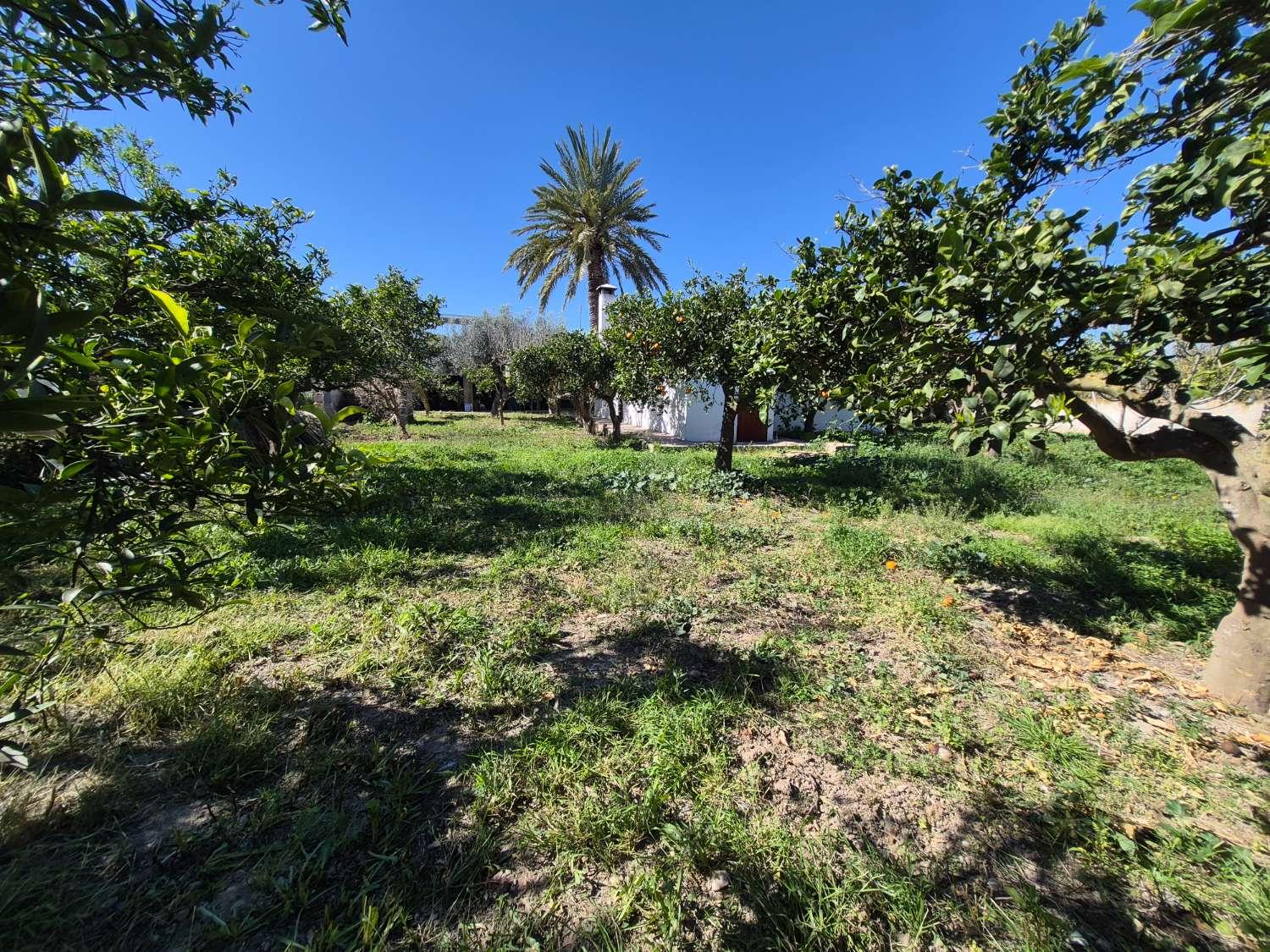 Plot for Sale in Cartagena