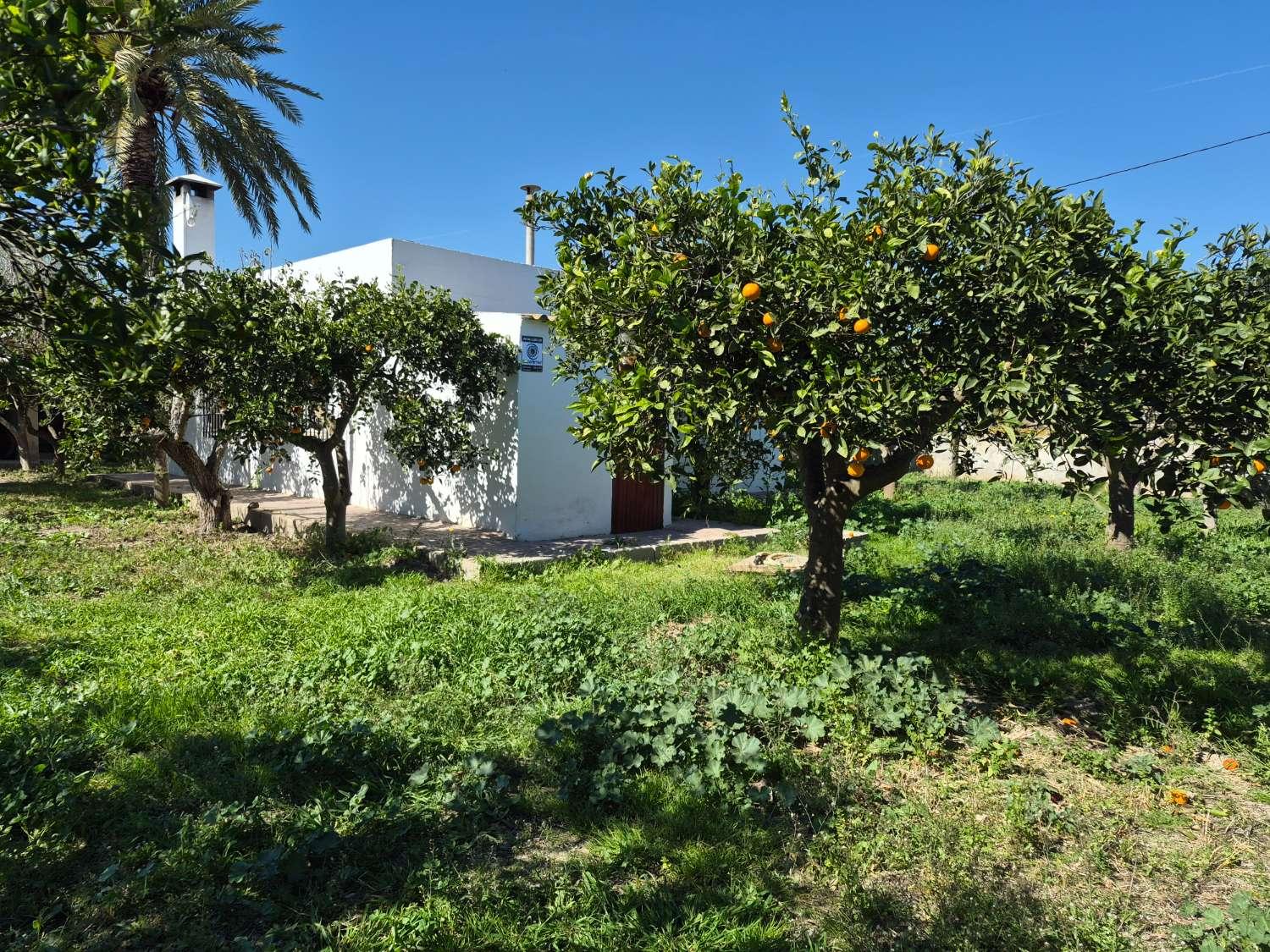 Plot for Sale in Cartagena
