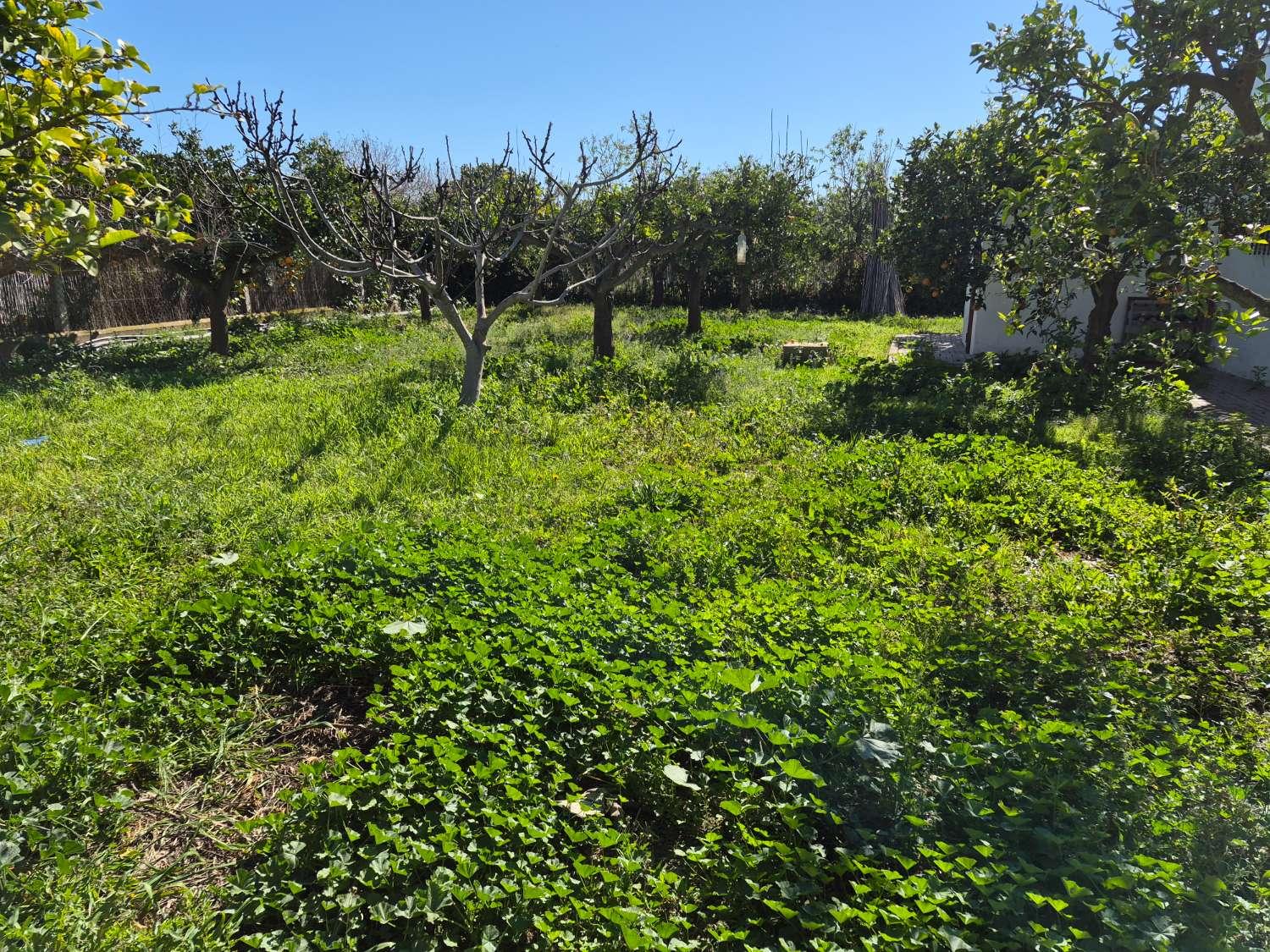 Plot for Sale in Cartagena