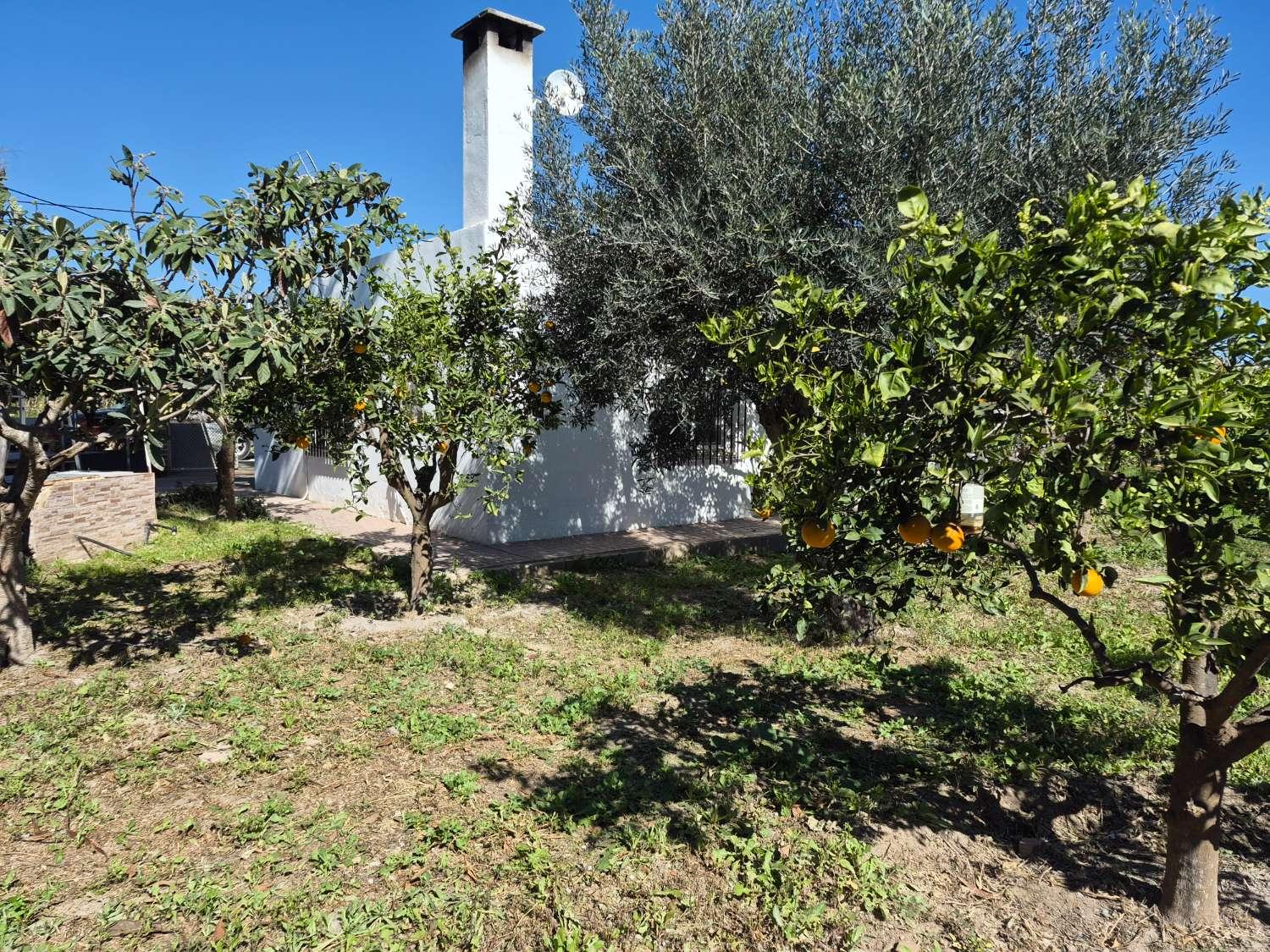 Plot for Sale in Cartagena