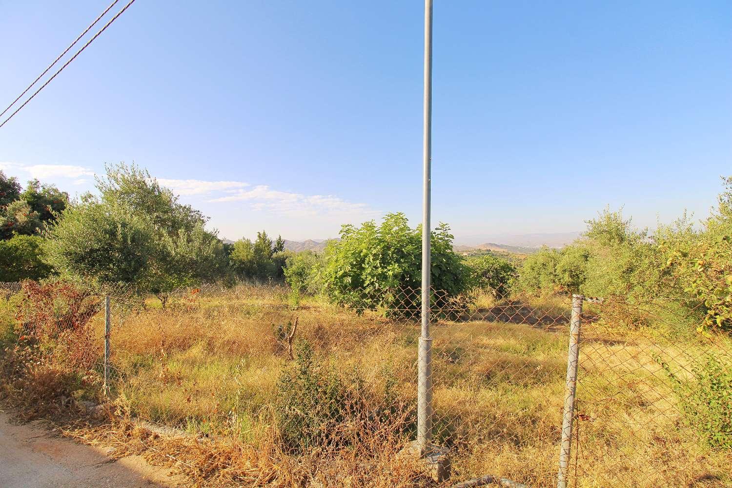 Plot for Sale in Alhaurín de la Torre