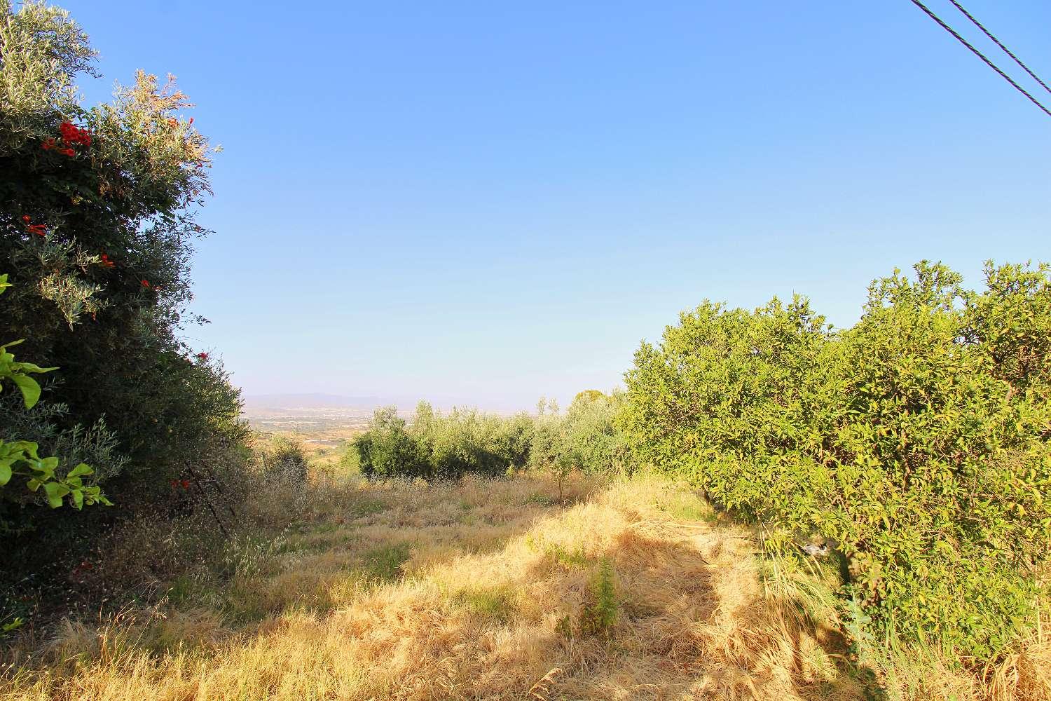 Plot for Sale in Alhaurín de la Torre