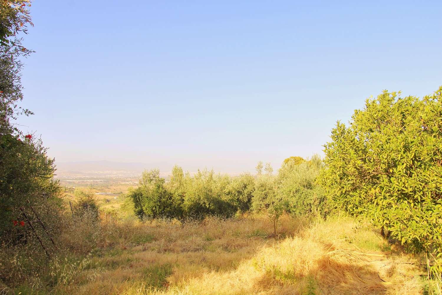 Plot for Sale in Alhaurín de la Torre