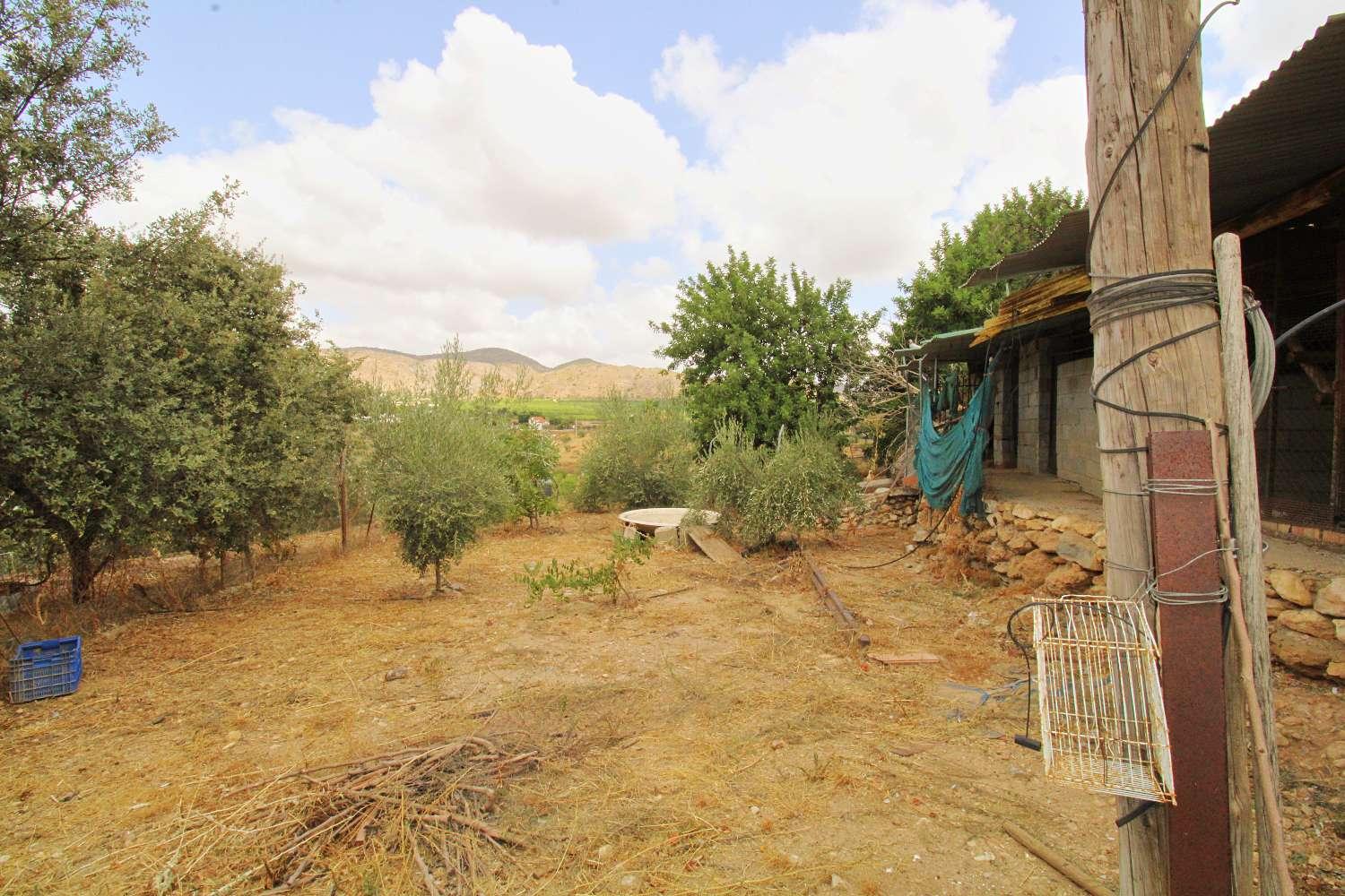 Finca en Venta en Alhaurín de la Torre