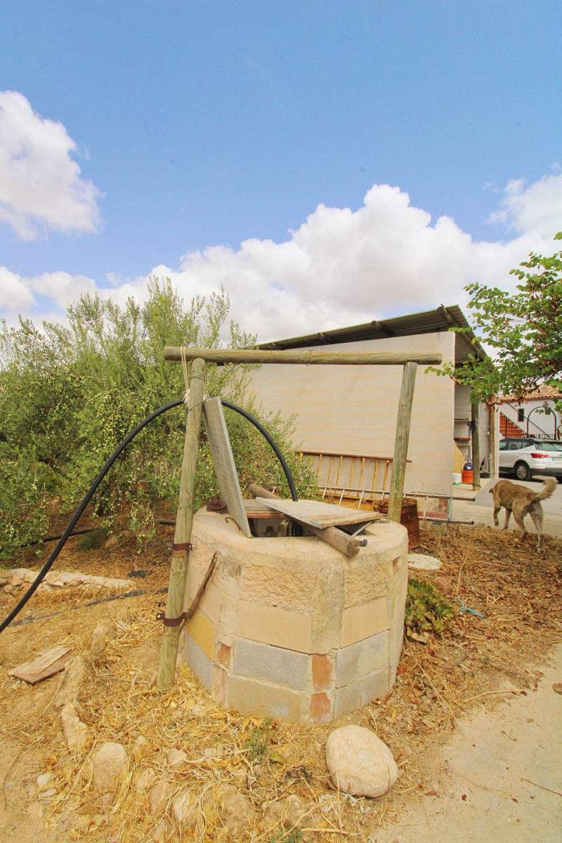 Finca en Venta en Alhaurín de la Torre