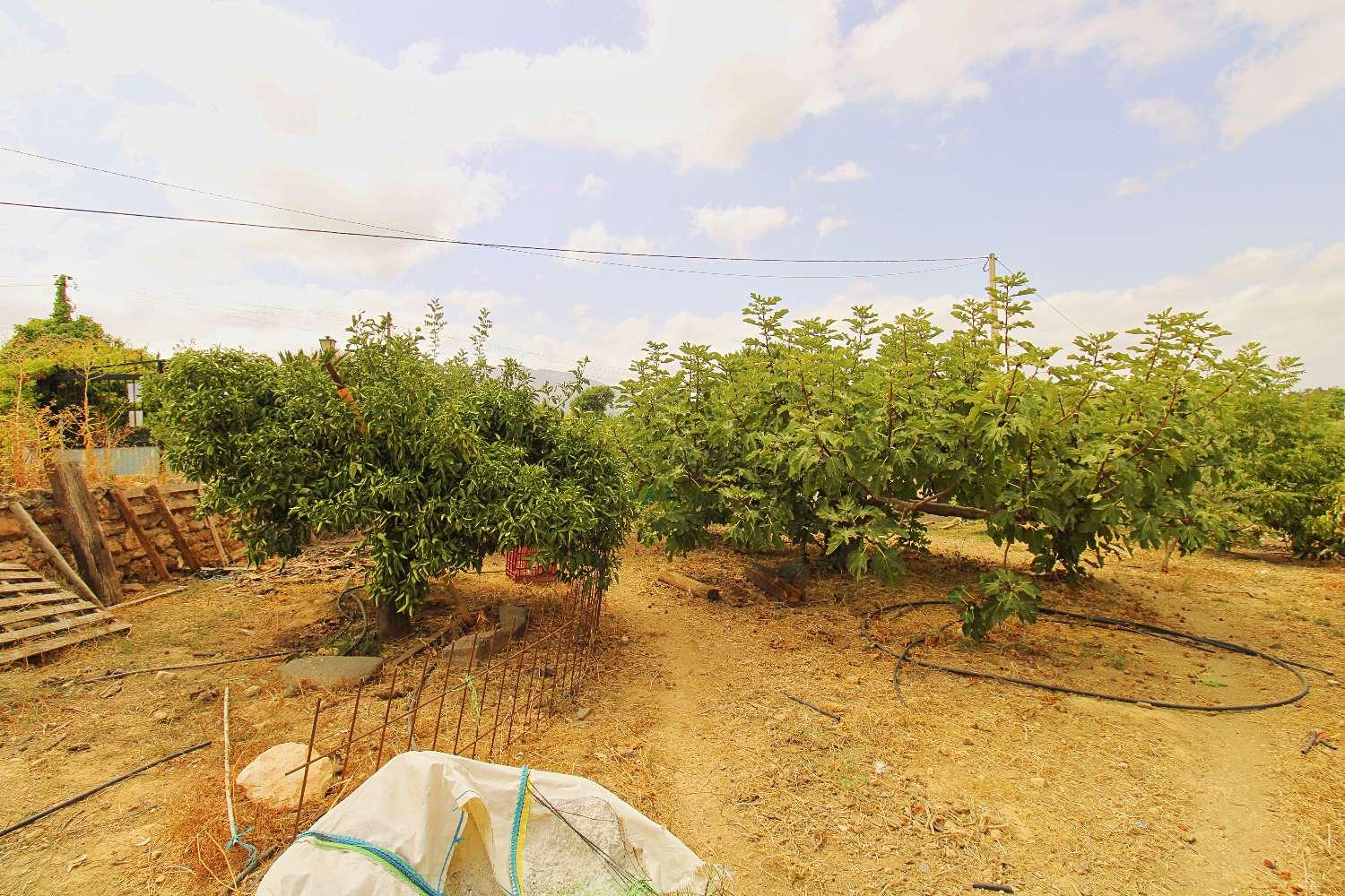 Finca en Venta en Alhaurín de la Torre