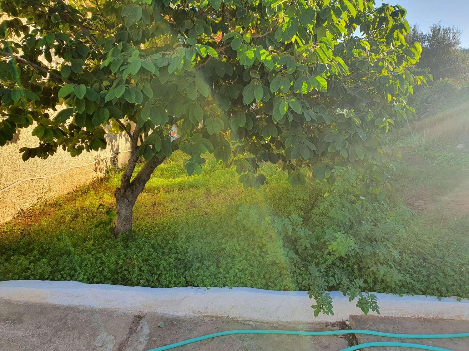 Finca en Venta en Alhaurín de la Torre