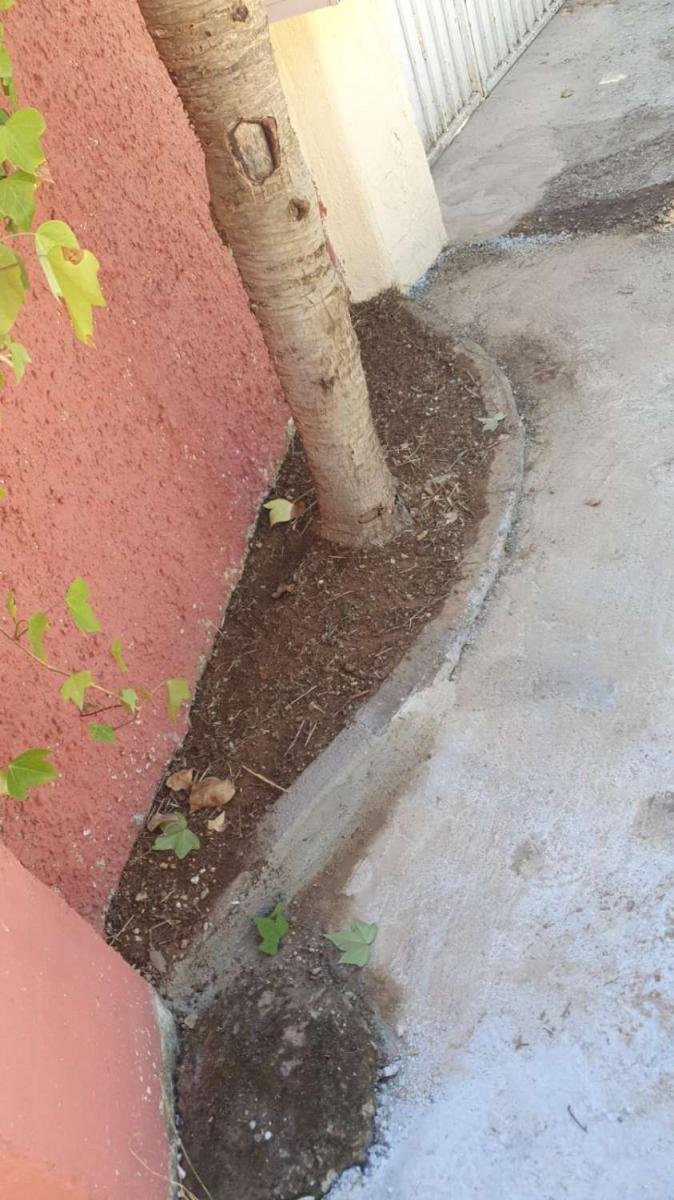 Finca en Venta en Alhaurín de la Torre