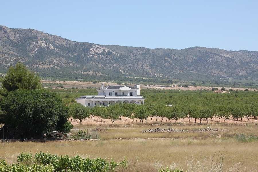 Villa en Venta en Pinoso