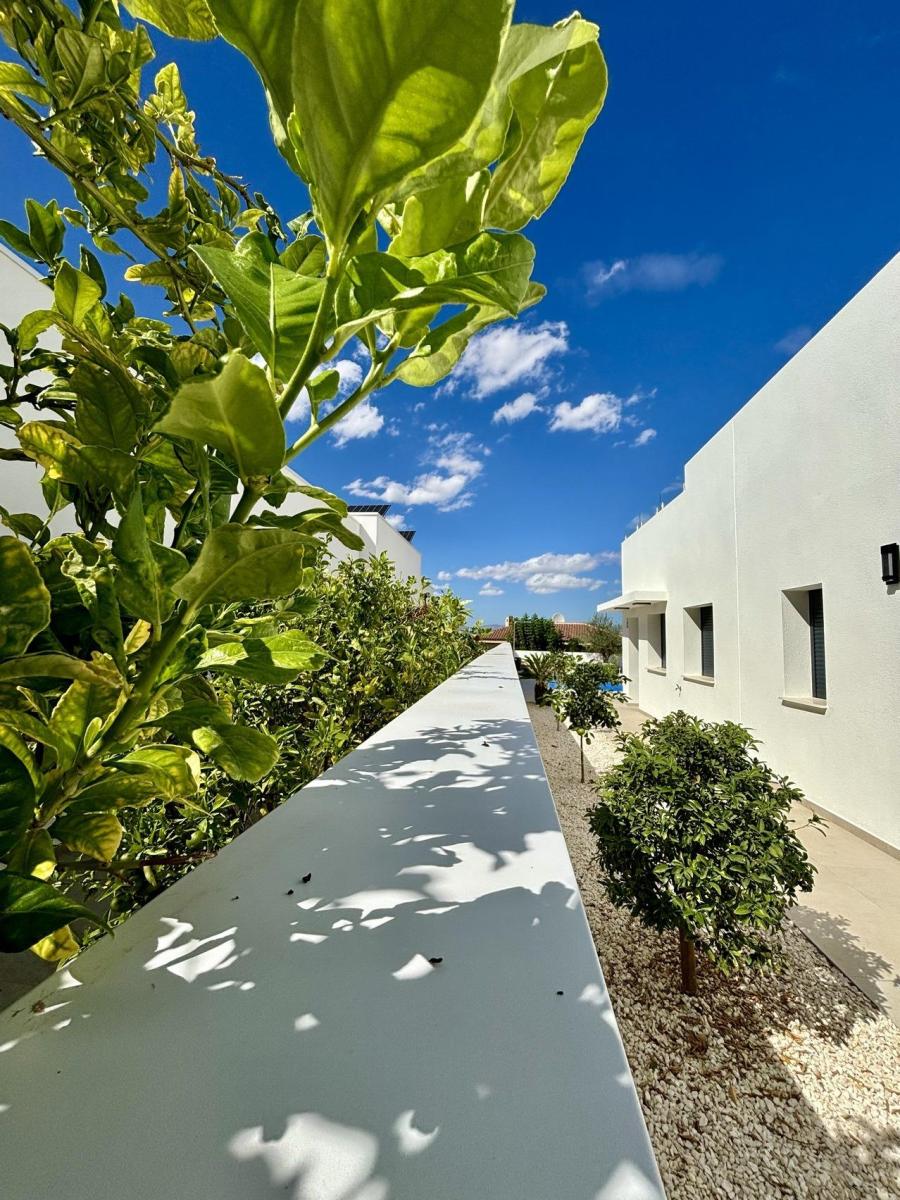 Villa for Sale in Benijófar