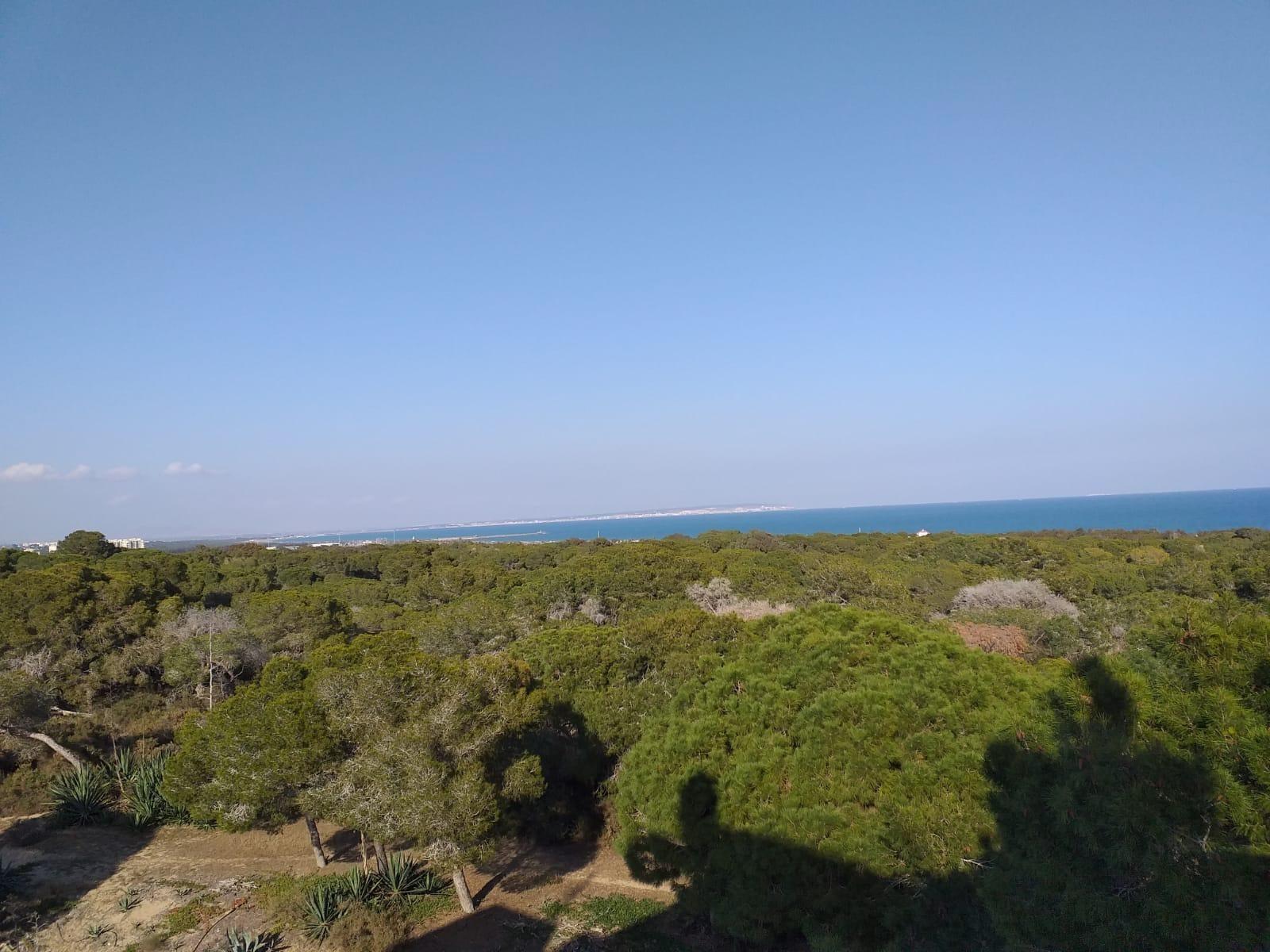 Apartamento en Venta en Guardamar del Segura