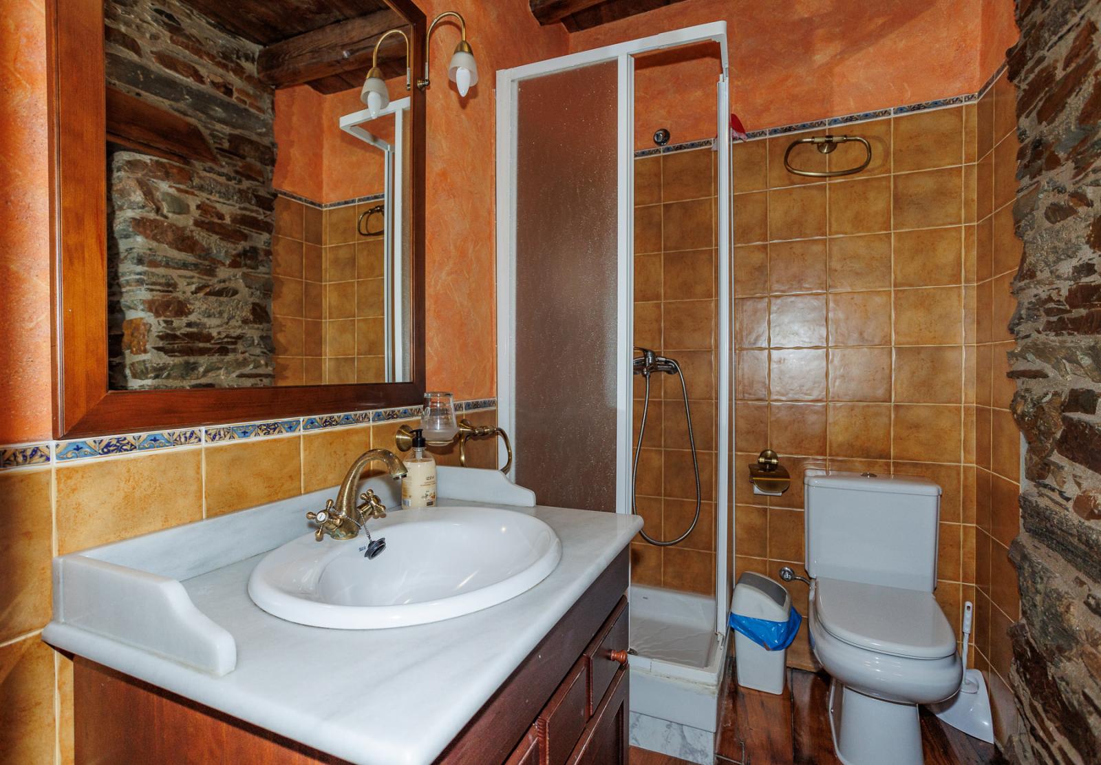 Premise for Sale in Navia de Suarna