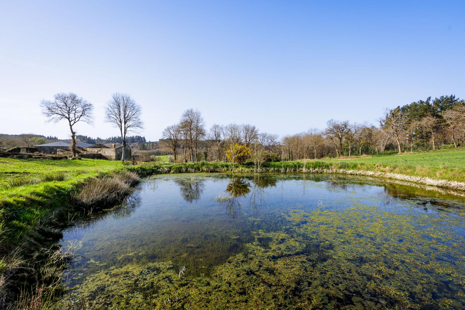 Finca en Venta en Lugo