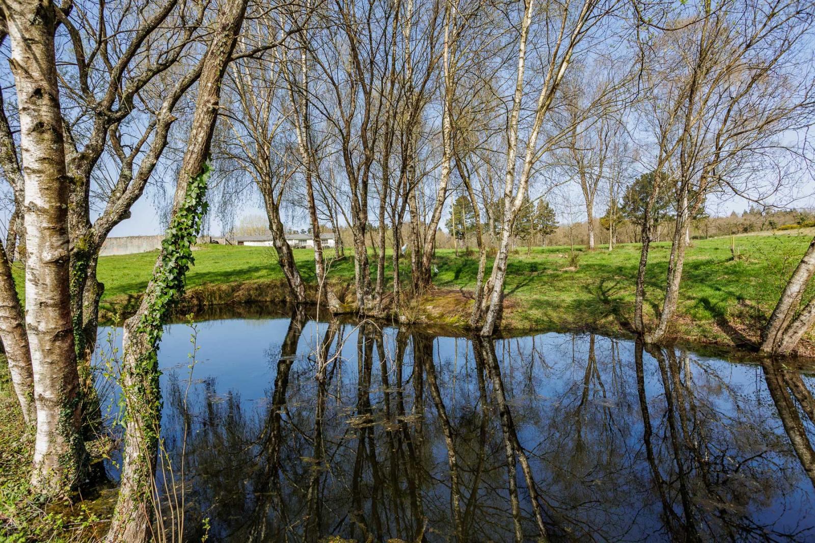 Finca en Venta en Lugo