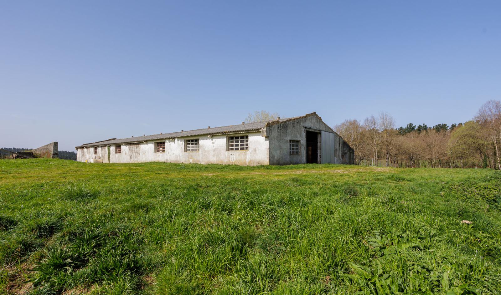 Finca en Venta en Lugo