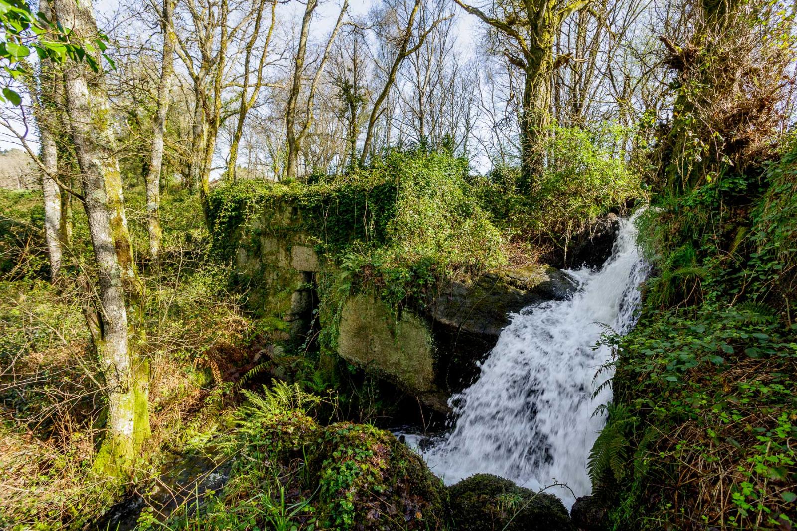 Finca en Venta en Lugo