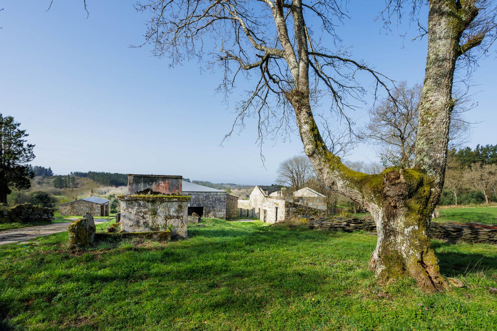 Finca en Venta en Lugo
