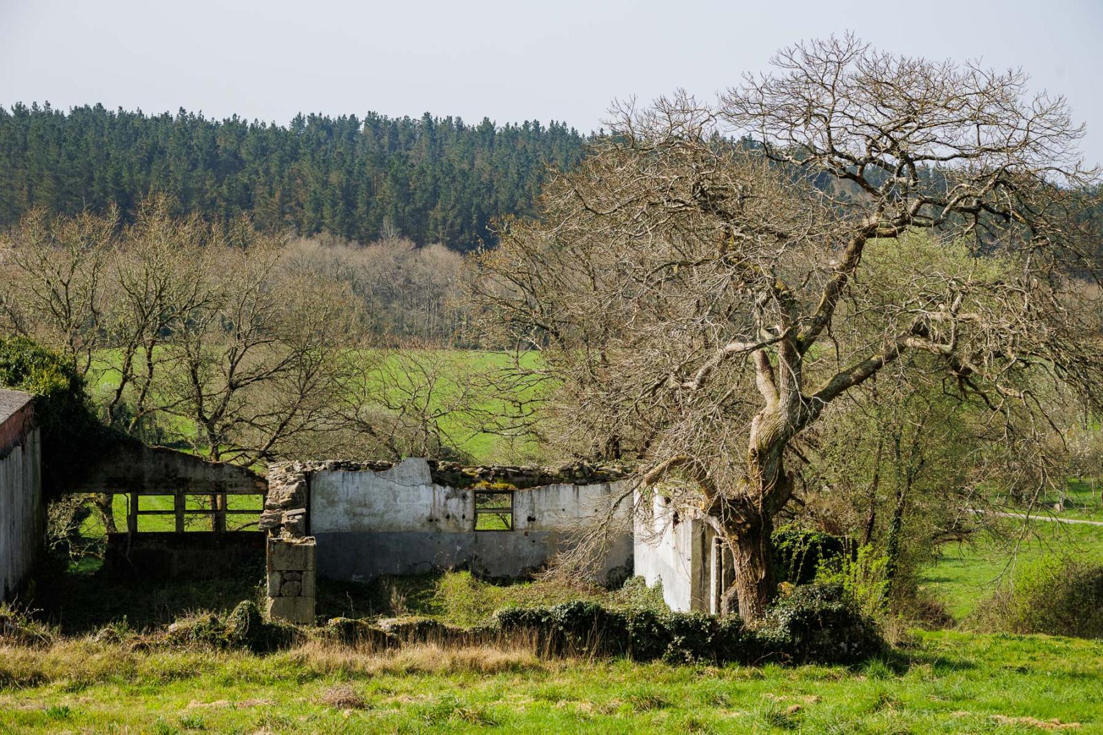 Finca en Venta en Lugo
