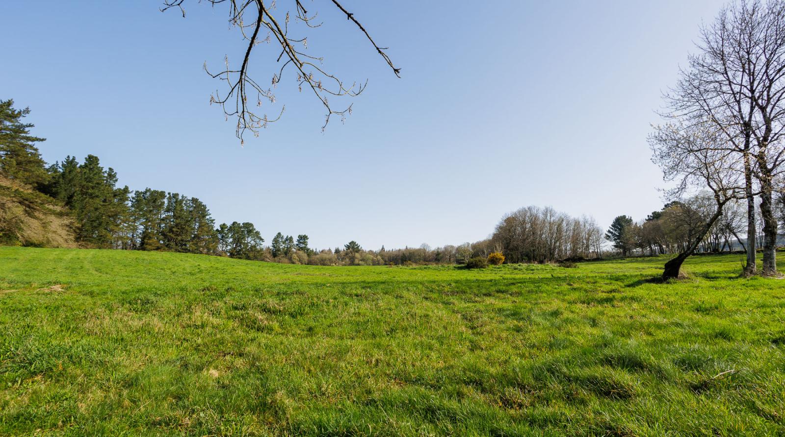 Finca en Venta en Lugo