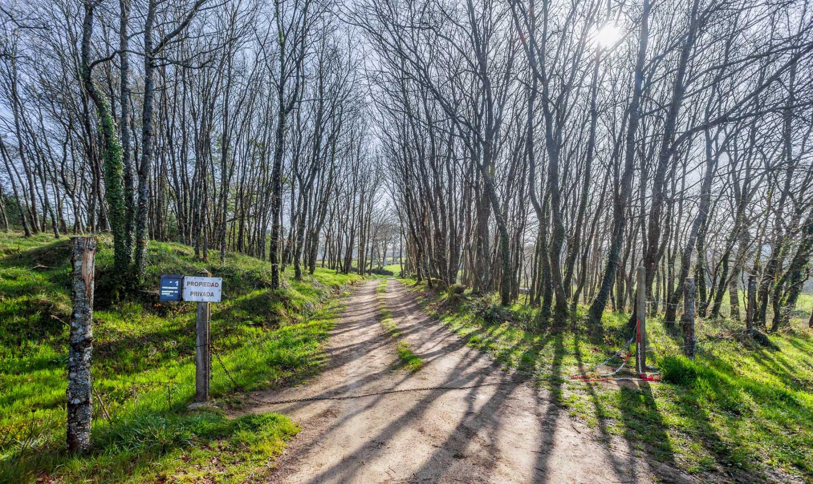 Finca en Venta en Lugo
