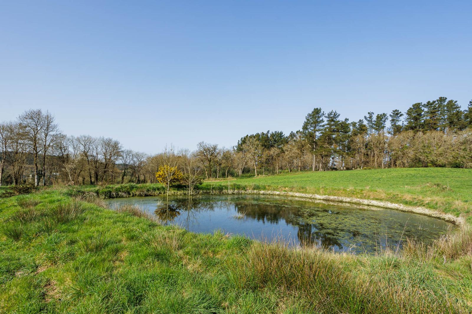 Finca en Venta en Lugo
