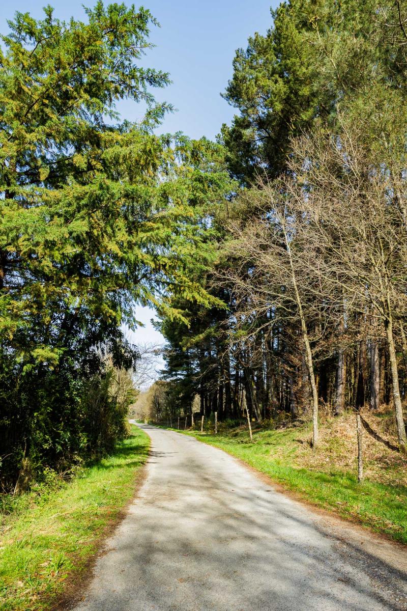 Finca en Venta en Lugo