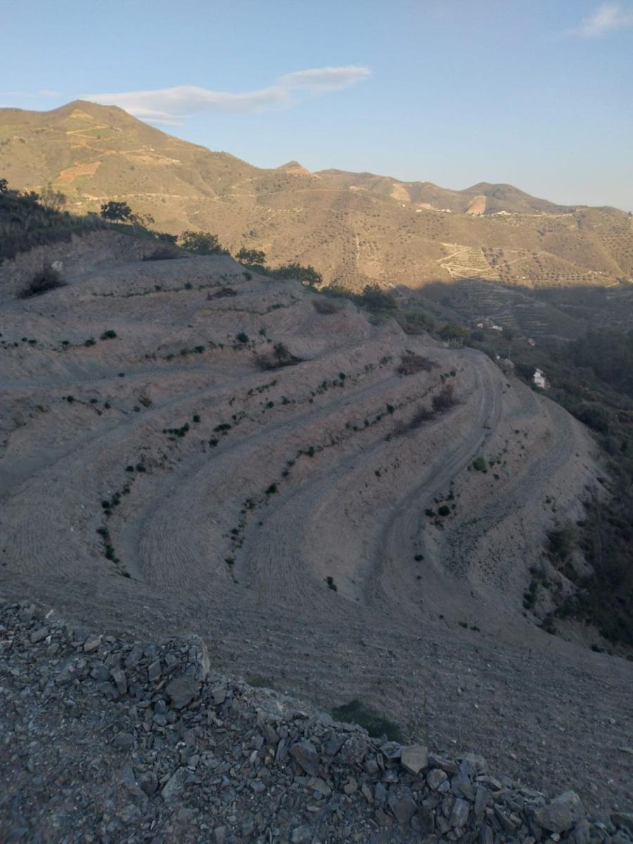Plot for Sale in Almuñécar