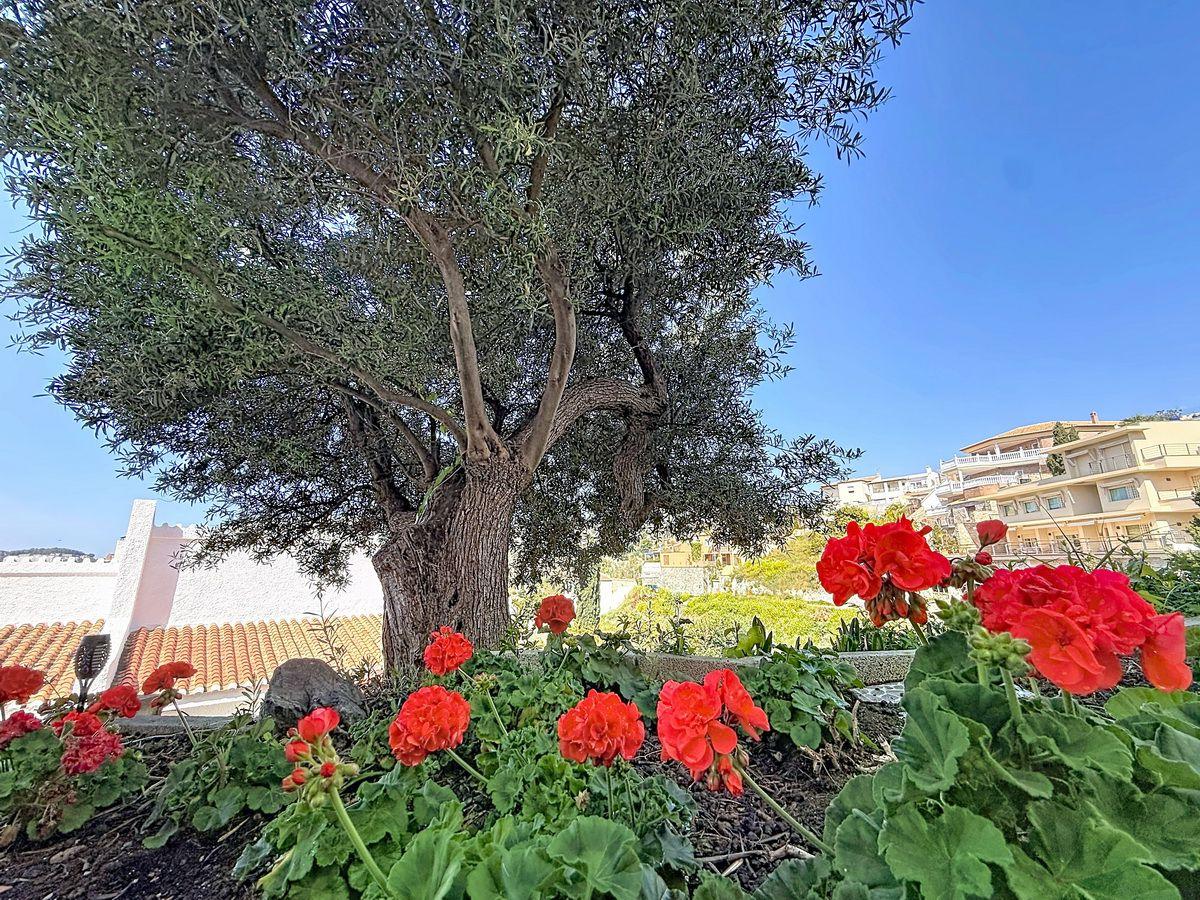 Villa for Sale in Almuñécar