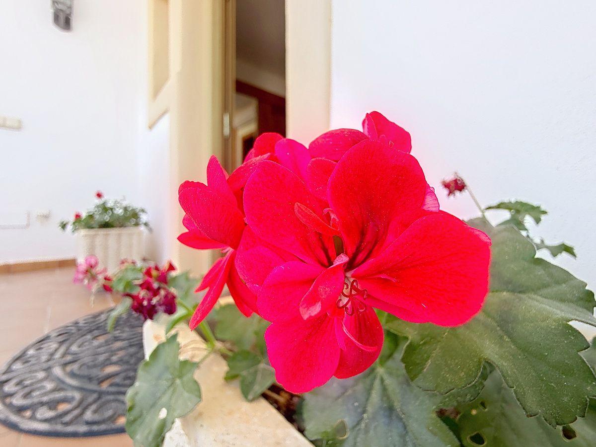 Villa for Sale in Almuñécar