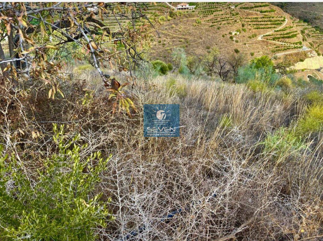 Finca en Venta en Itrabo