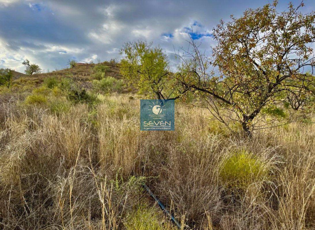 Finca en Venta en Itrabo