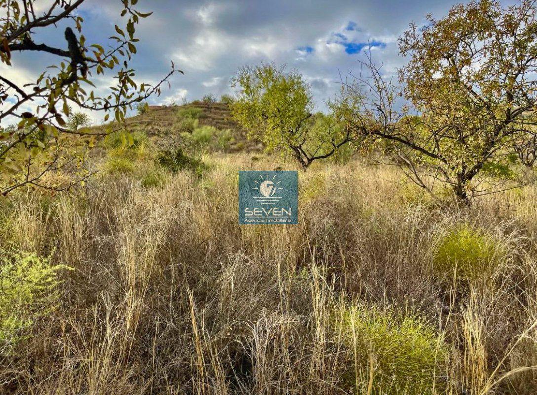 Finca en Venta en Itrabo