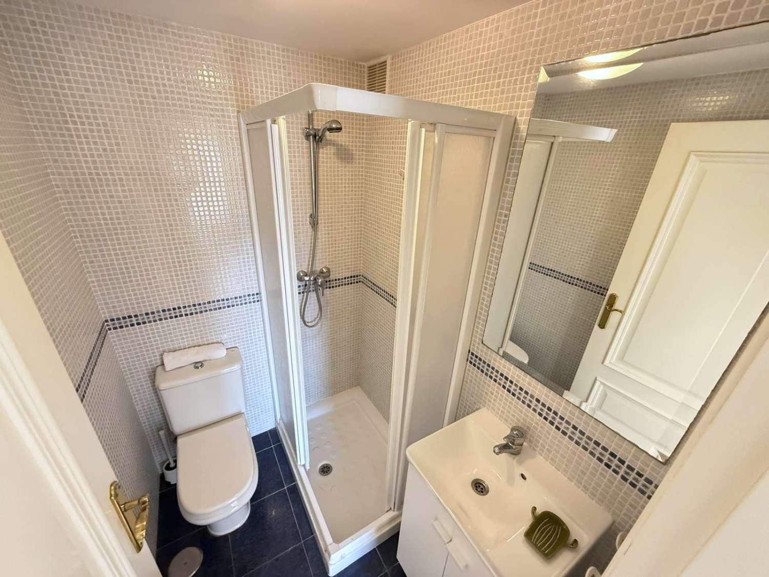 Apartment for Holiday Rental in Fuengirola