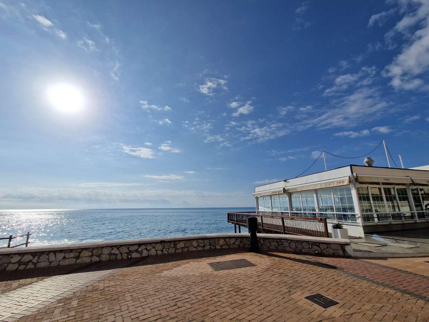 Apartment for Holiday Rental in Fuengirola