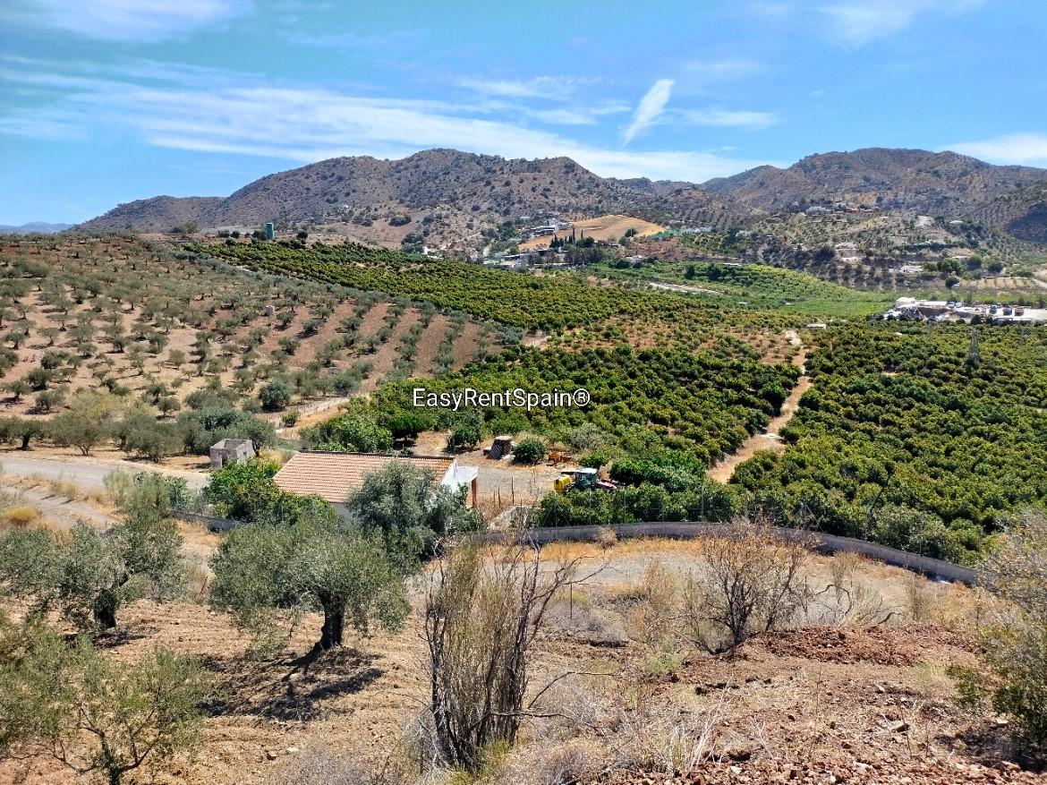 Villa for Rent in Álora