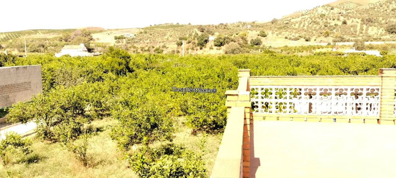 House for Sale in Álora