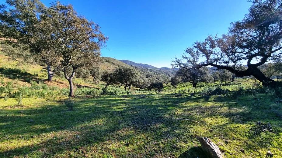 Casa en Venta en Zufre
