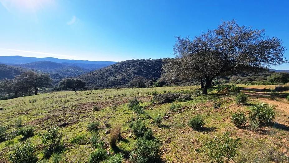 Casa en Venta en Zufre