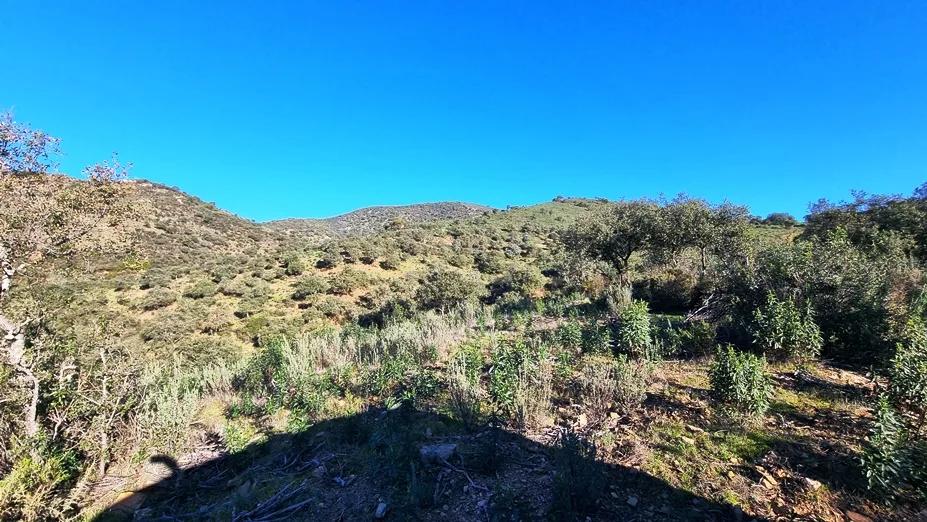 Casa en Venta en Zufre
