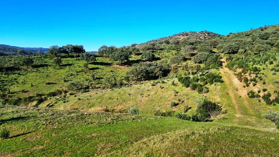 Casa en Venta en Zufre
