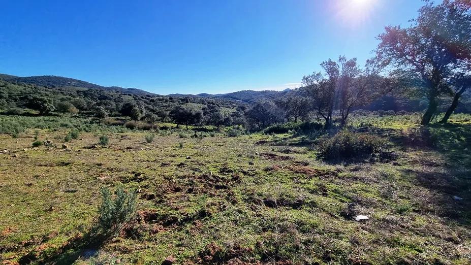 Casa en Venta en Zufre