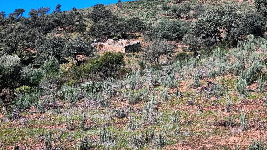 Casa en Venta en Zufre