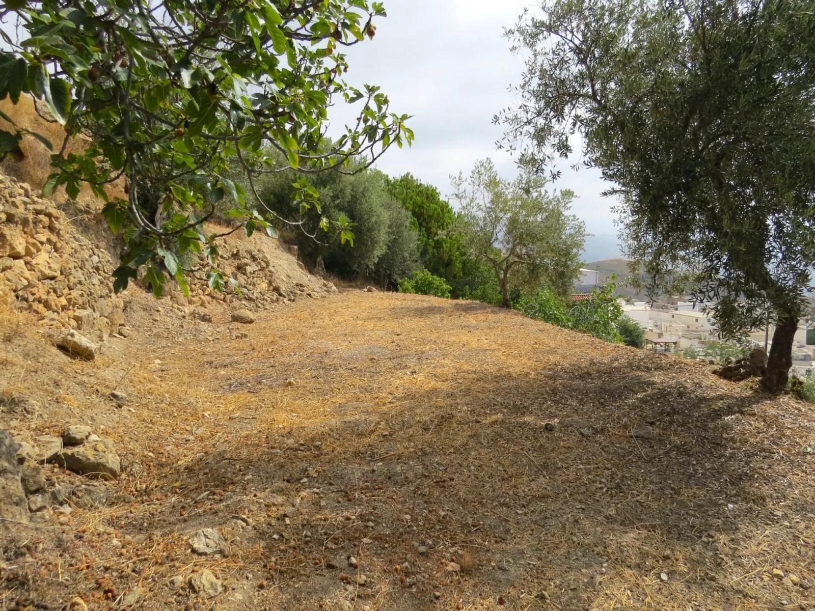 House for Sale in Alpujarra de la Sierra