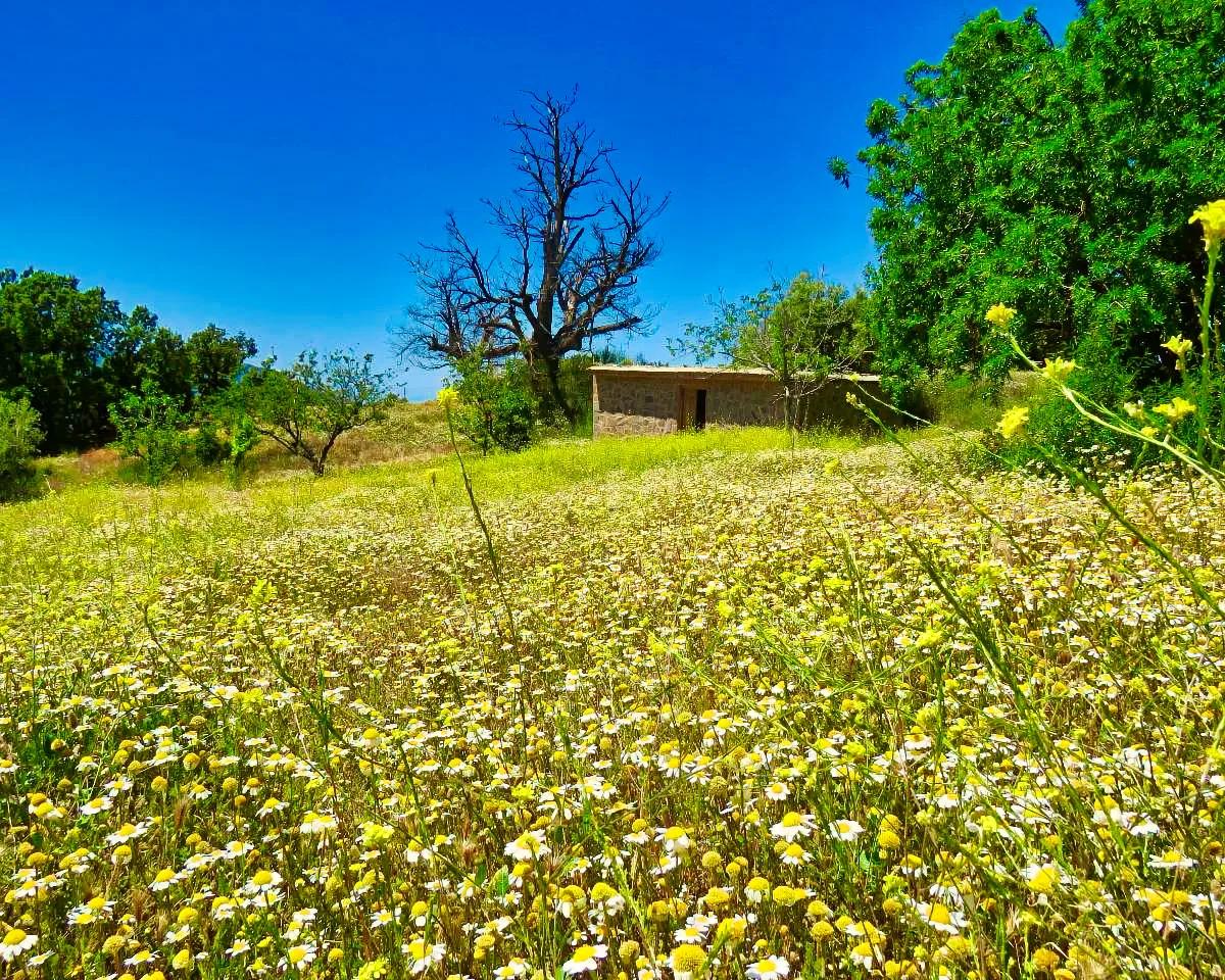 Casa en Venta en Cáñar