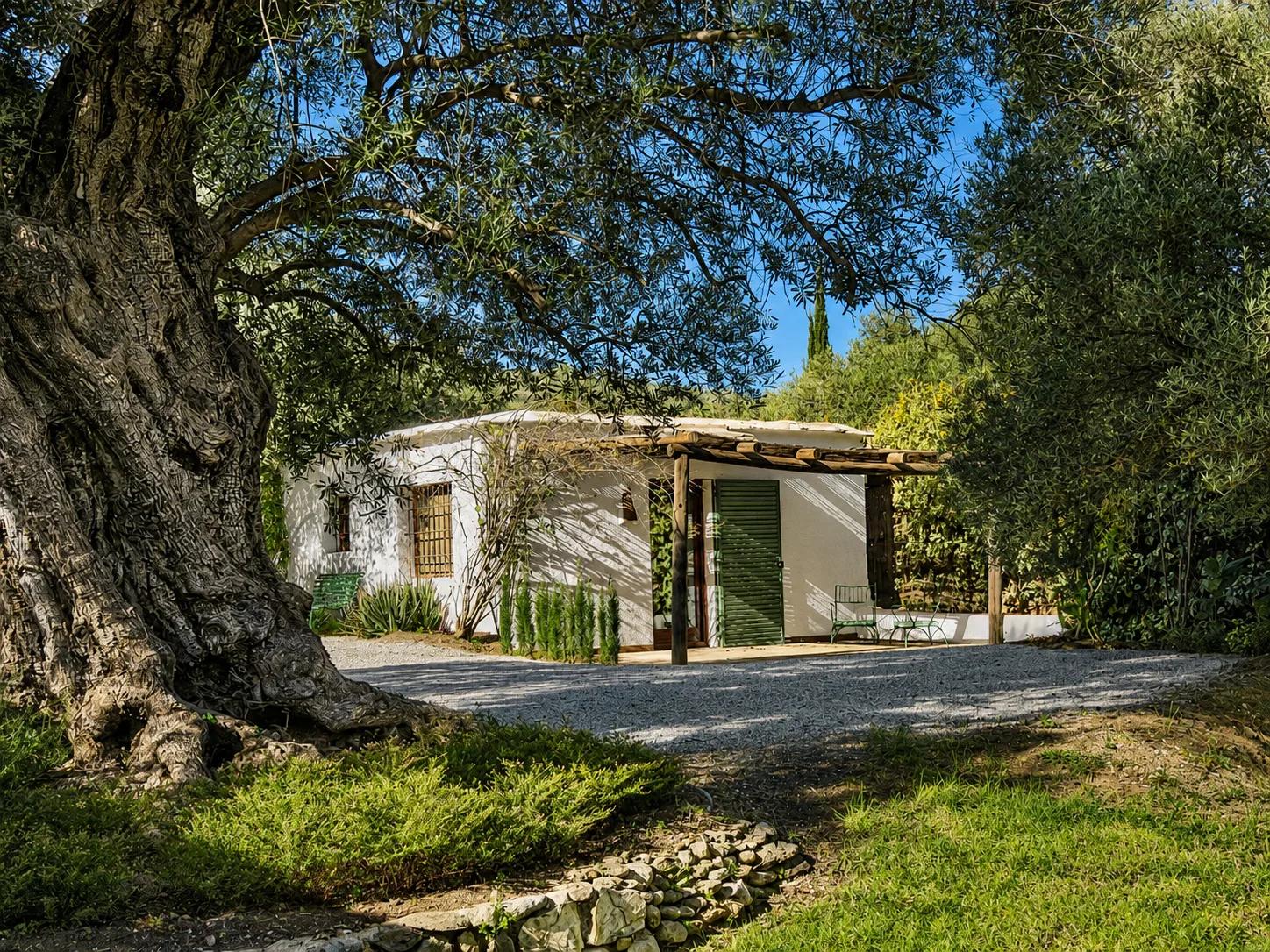 House for Sale in Órgiva
